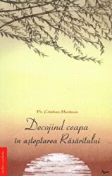 Decojind ceapa in asteptarea Rasaritului - Cristian Muntean (ISBN: 9786060530473)