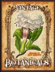New Creations Coloring Book Series: Vintage Botanicals - Brad Davis, Teresa Davis (ISBN: 9781947121720)