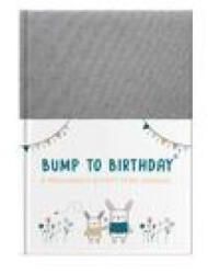 Bump to Birthday - HELEN STEPHENS (ISBN: 9781907860942)