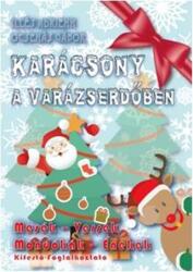 Karácsony a varázserdőben - kifestő-foglalkoztató (ISBN: 5998601502144)