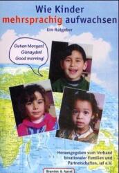 Wie Kinder mehrsprachig aufwachsen (ISBN: 9783860991947)