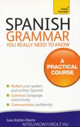 Spanish Grammar You Really Need To Know: Teach Yourself (2012)