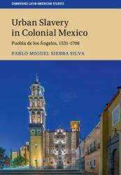 Urban Slavery in Colonial Mexico (ISBN: 9781108412186)