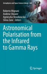 Astronomical Polarisation from the Infrared to Gamma Rays - Roberto Mignani, Andrew Shearer, Agnieszka Slowikowska, Silvia Zane (ISBN: 9783030197148)