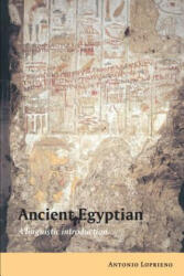 Ancient Egyptian - Antonio Loprieno (ISBN: 9780521448499)
