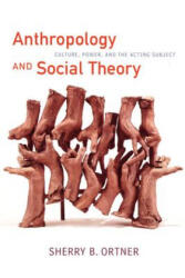 Anthropology and Social Theory: Culture Power and the Acting Subject (2006)