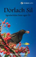 Dorlach Sil - Sgeulachdan Sean agus Ur (ISBN: 9781910022740)