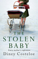 The Stolen Baby (ISBN: 9781789543353)