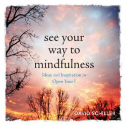 See Your Way to Mindfulness - David Schiller (ISBN: 9780761187448)
