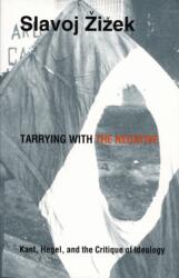 Tarrying with the Negative (1993)