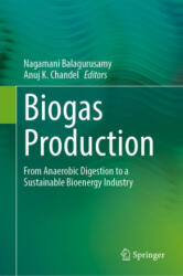 Biogas Production - Nagamani Balagurusamy (ISBN: 9783030588267)
