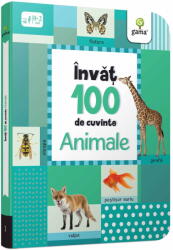 Invat 100 de cuvinte (ISBN: 9786060562023)