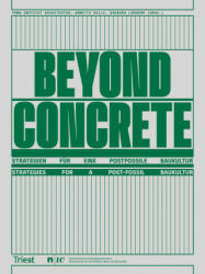 Beyond Concrete. - Barbara Lenherr (ISBN: 9783038630722)