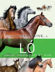 Legjobb barátunk a ló (ISBN: 9789634831136)