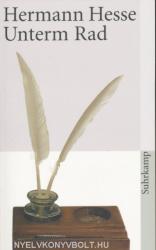 Unterm Rad (ISBN: 9783518365526)