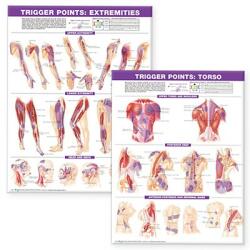 Trigger Point Chart Set: Torso & Extremities Paper (2007)