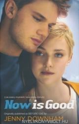 Now is Good (Also published as Before I Die) - Jenny Downham (2012)