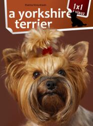1x1 - A yorkshire terrier (2012)