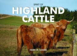 Spirit of Highland Cattle - Heidi M. Sands (2011)