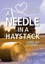 A Needle in a Haystack: How to Find Love in the Rubble (ISBN: 9781954614710)