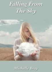 Falling From The Sky (ISBN: 9781839758003)