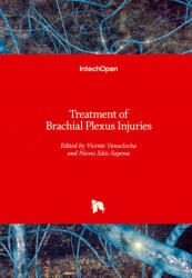 Treatment of Brachial Plexus Injuries - Nieves Saiz-Sapena (ISBN: 9781838804039)