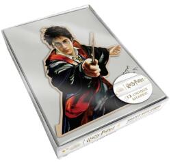 Harry Potter Boxed Die-Cut Note Cards (ISBN: 9781647226909)