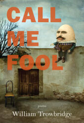 Call Me Fool (ISBN: 9781636280462)
