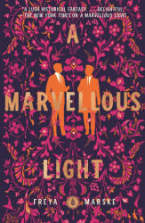 A Marvellous Light (ISBN: 9781250831798)