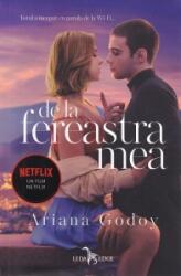 De la fereastra mea - Ariana Godoy (ISBN: 9786069519271)