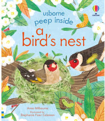 Peep Inside a Bird's Nest (ISBN: 9781474969178)