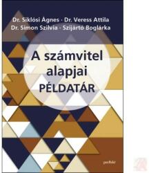 SZÁMVITEL ALAPJAI PÉLDATÁR (ISBN: 9789633948613)