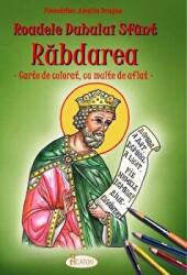 Roadele Duhului Sfant. Volumul 7 Rabdarea. Carte de colorat, cu multe de aflat - Amalia Dragne (ISBN: 9786068933337)