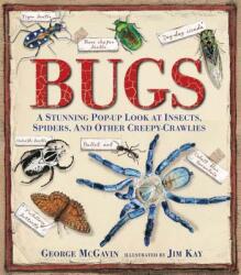 George McGavin, Jim Kay - Bugs - George McGavin, Jim Kay (ISBN: 9780763667627)
