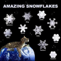 Amazing Snowflakes - Richard Matevosyan, Naira Matevosyan (ISBN: 9781490933856)