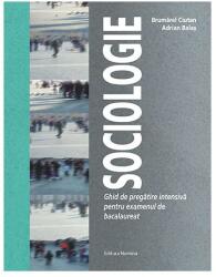 Sociologie (ISBN: 9786065358966)