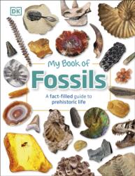 My Book of Fossils (ISBN: 9780241533369)