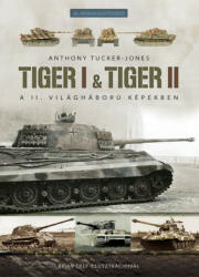 Tiger I & Tiger II (2022)
