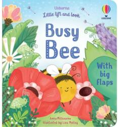 Little Lift and Look Busy Bee - Anna Milbourne (ISBN: 9781474997744)