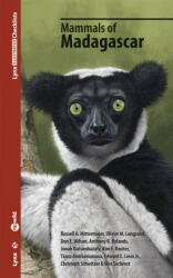 Mammals of Madagascar - MITTERMEIER, RUSSELL A. , LANGRAND, OLIVIE (ISBN: 9788416728480)