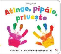 BEBE INVATA. Atinge, Pipaie, Priveste (ISBN: 9786063341236)