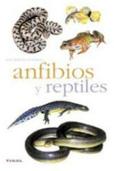 Anfibios y reptiles - Marc Santiani, Herminia Bevia Villalba, Antonio Resines (ISBN: 9788430553341)