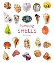 Interesting Shells - ANDREIA SALVADOR (ISBN: 9780565095109)