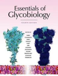 Essentials of Glycobiology, Fourth Edition (ISBN: 9781621824213)