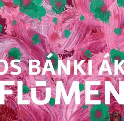 Flumen (ISBN: 9786150123202)