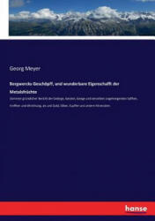 Bergwercks Geschoepff, und wunderbare Eigenschafft der Metalsfruchte - Georg Meyer (ISBN: 9783743629219)