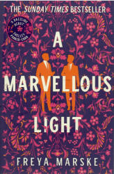 Marvellous Light (ISBN: 9781529080902)