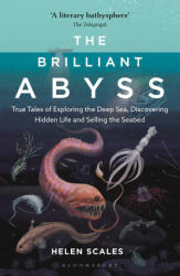 Brilliant Abyss - SCALES HELEN (ISBN: 9781472966889)