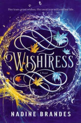 Wishtress - Brandes, Nadine (ISBN: 9780785264002)