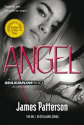 Angel: A Maximum Ride Novel - James Patterson (2012)